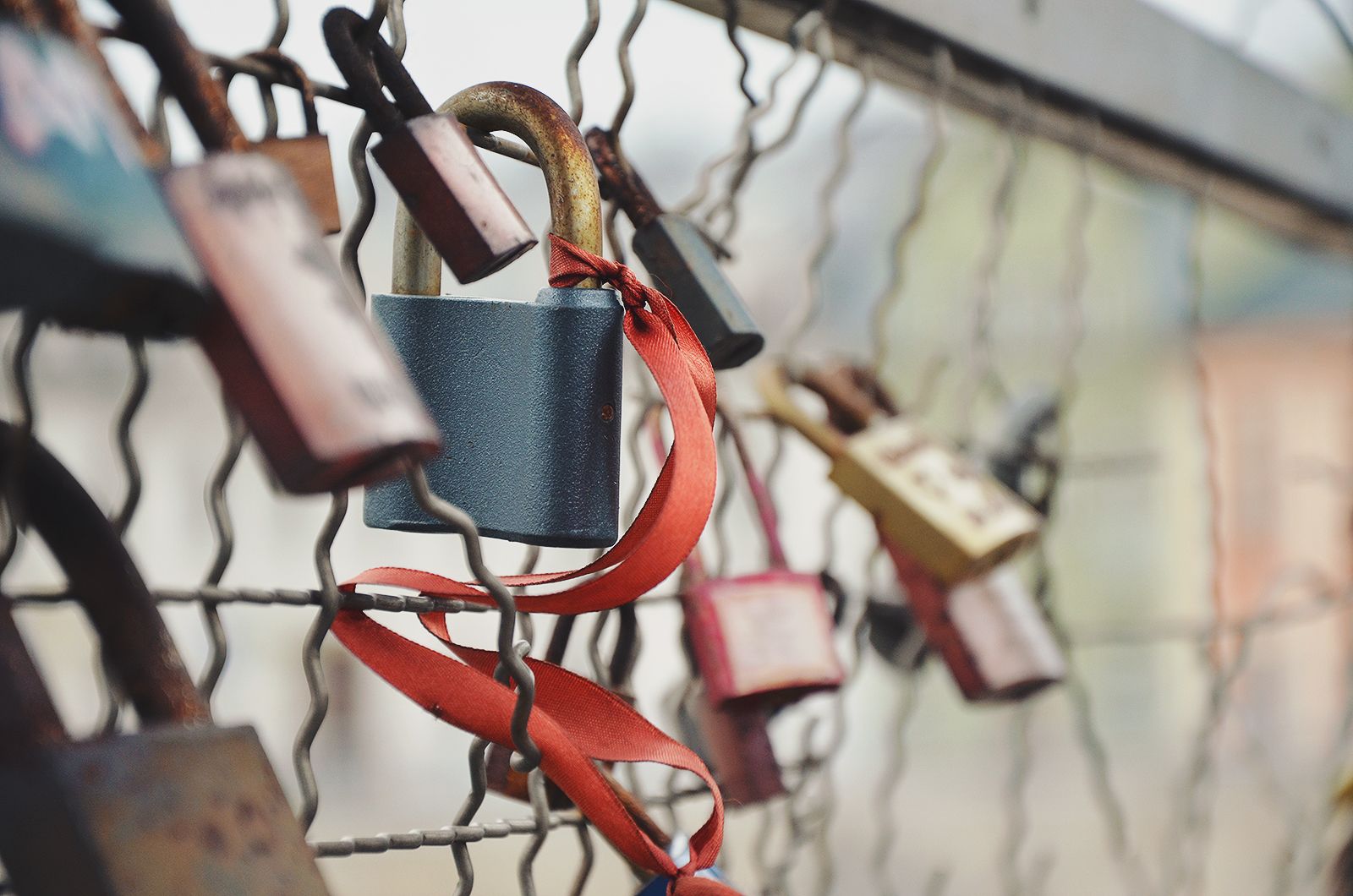 Padlocks hanging from a wire fence